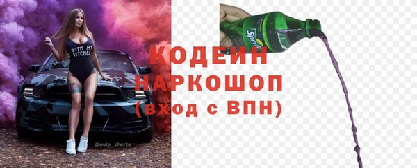 хмурый Белая Холуница