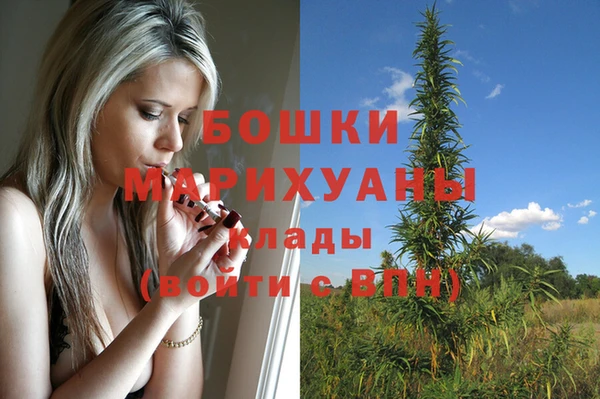 молекула духа Наволоки