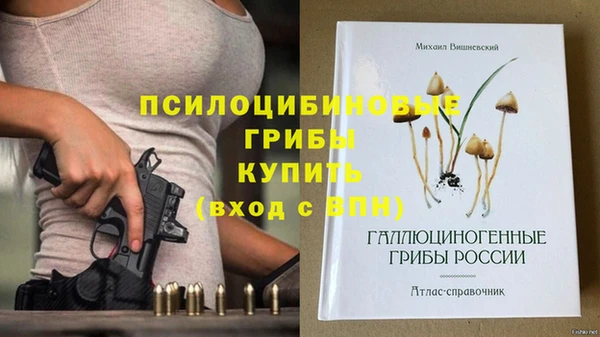 прущие грибы Белая Калитва