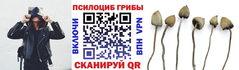 что такое наркотик  blacksprut сайт  Галлюциногенные грибы MAGIC MUSHROOMS  Усолье 